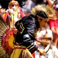 Pow Wow
